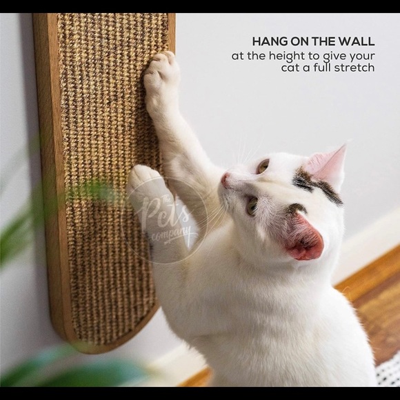 The Pets Company Other - Scratchpad for Cats, kittens